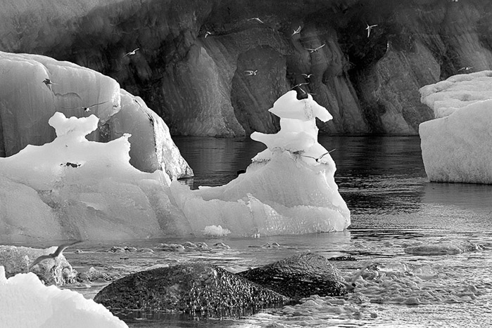 Jokulsarlon Glacier Lagoon BW 1958