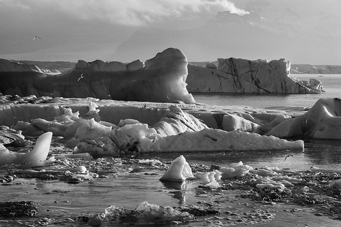 Jokulsarlon Glacier Lagoon Iceland BW 1809