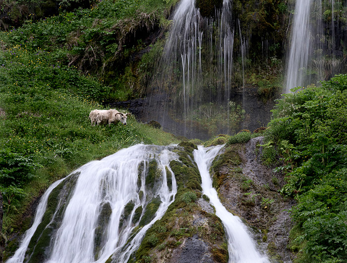 Seljalandsfoss Waterfall Color 1719