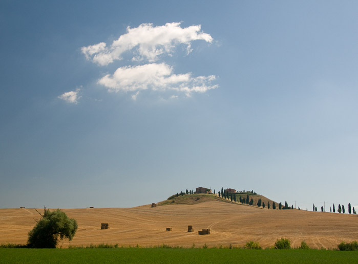 Tuscan Field & Cloud 4699