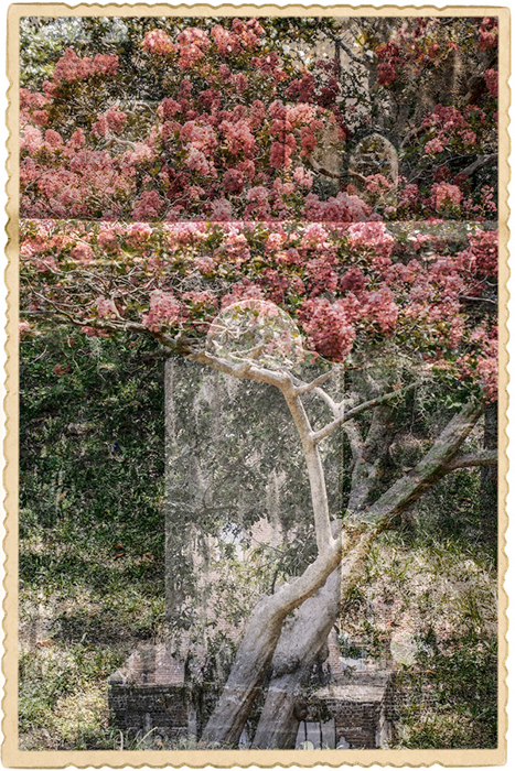 Savannah Tree & Headstone 1127