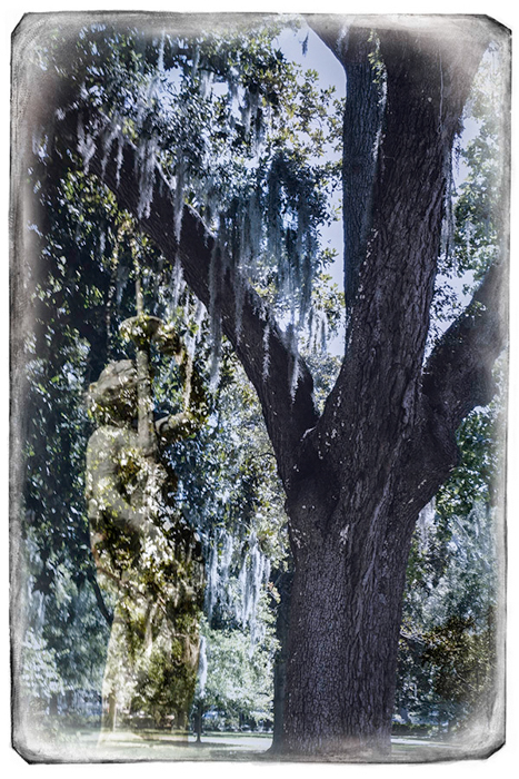 Savannah Tree & Statue 1118