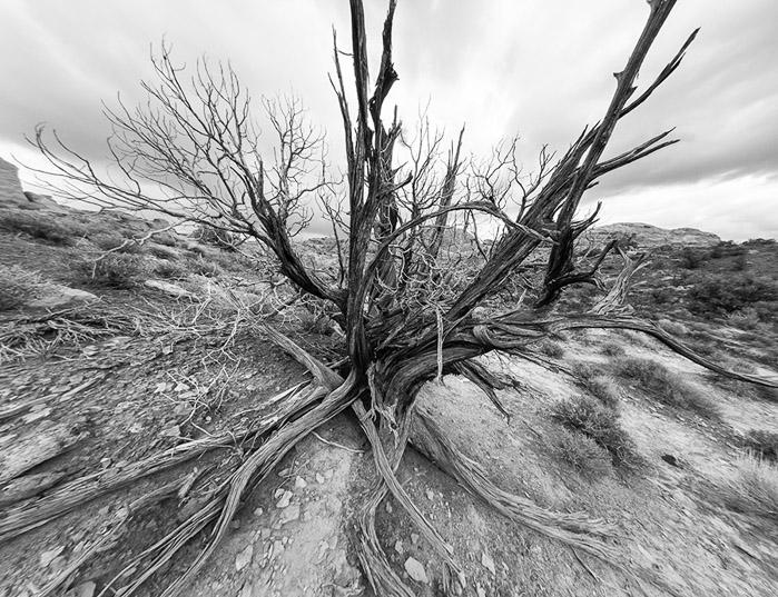 Arches Snag 8mm BW 1180