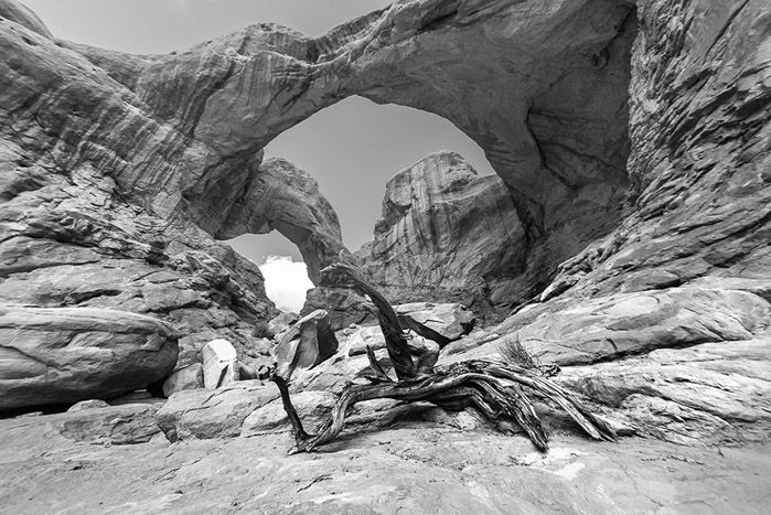Double Arch BW 1542