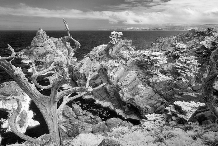Point Lobos IR 0605