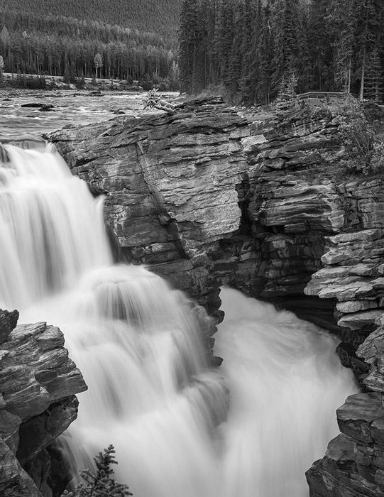 Athabasca Falls 2410