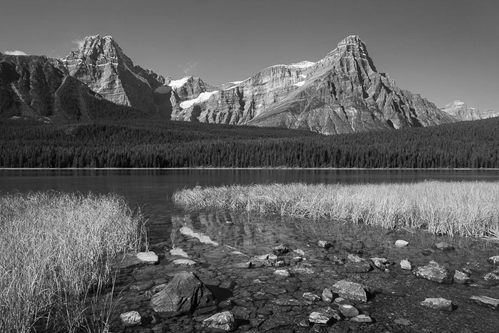 Canadian Rockies 3791