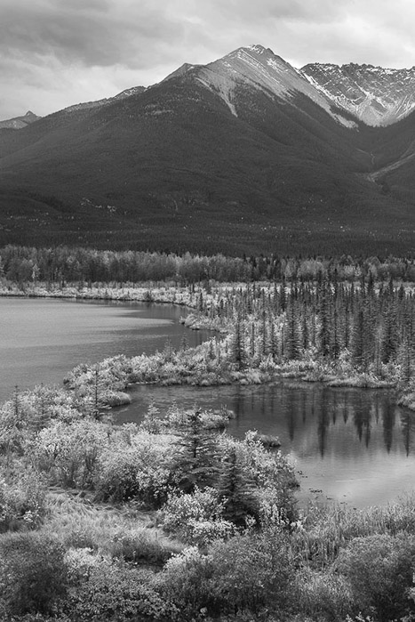 Canadian Rockies Fall 3339