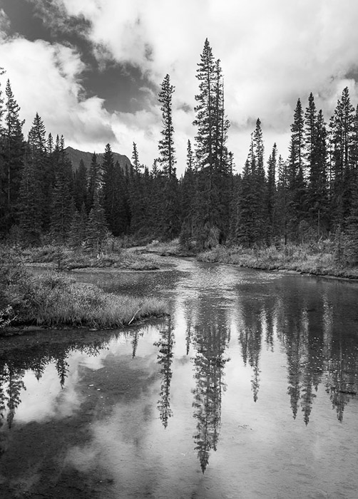 Canadian Rockies Stream 3574