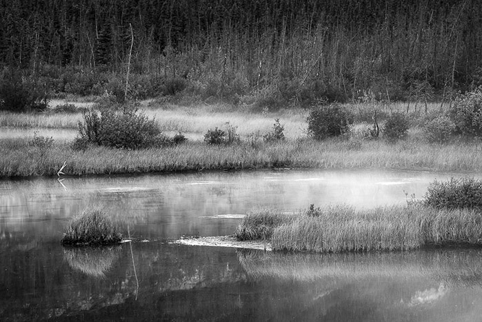Morning Lake Fog 2879