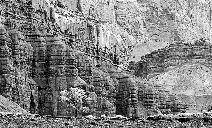 Capitol Reef BW 9189