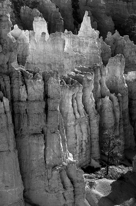 Bryce Canyon BW 3086