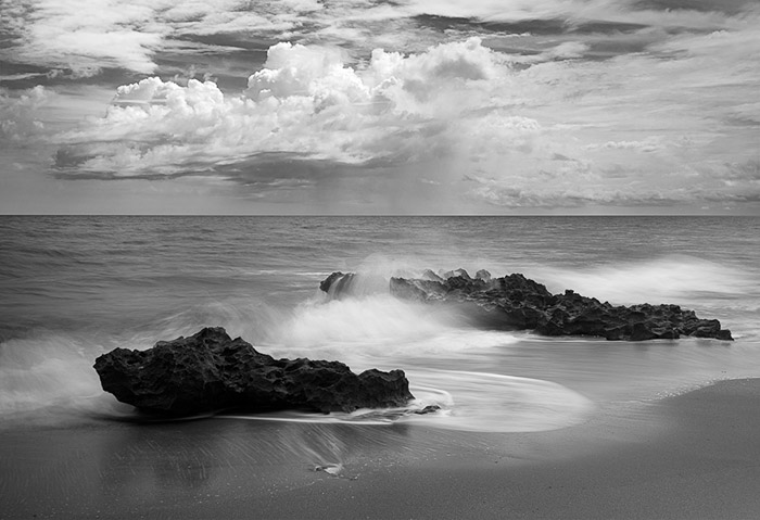 Coral Cove Park BW 0358