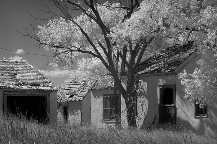 Abandoned Homestead IR 0317