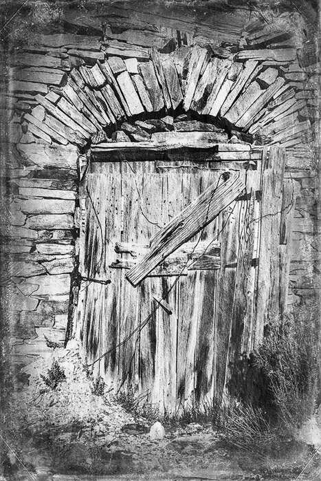 Belmont Door BW 1633