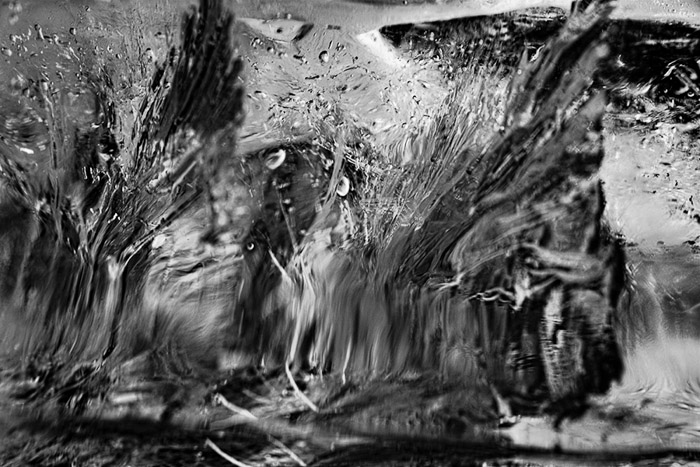 Ice Cubes BW 1327