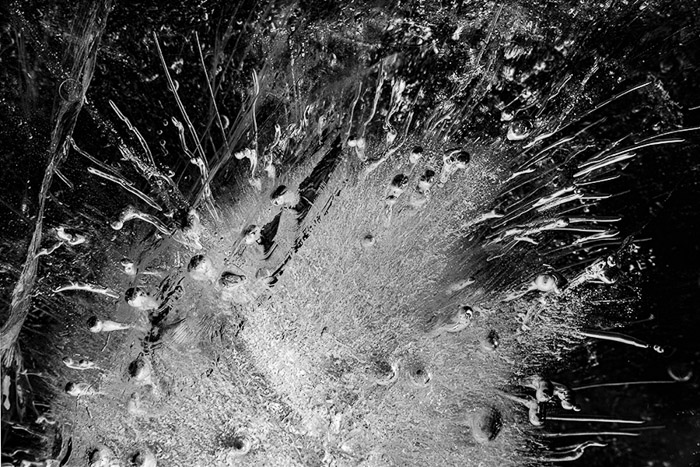 Ice Cubes BW 1343