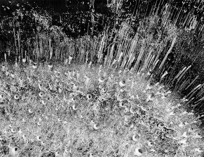 Ice Cubes BW 1366