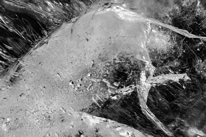 Ice Cubes BW 1786
