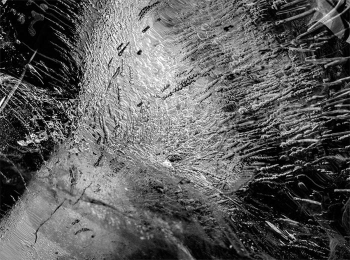 Ice Cubes BW 1826