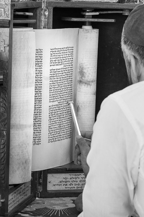 Reading The Torah BW 5005