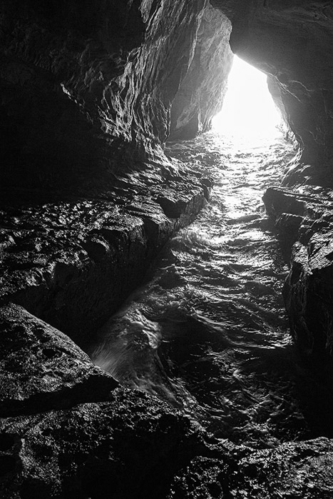 Roch HaNikrah BW 0761