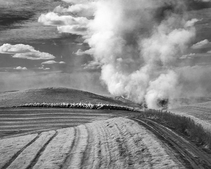 Palouse Burning Field BW 3692