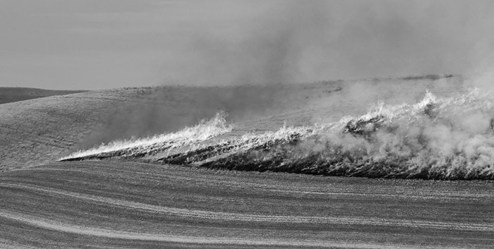 Palouse Burning Field BW 3705