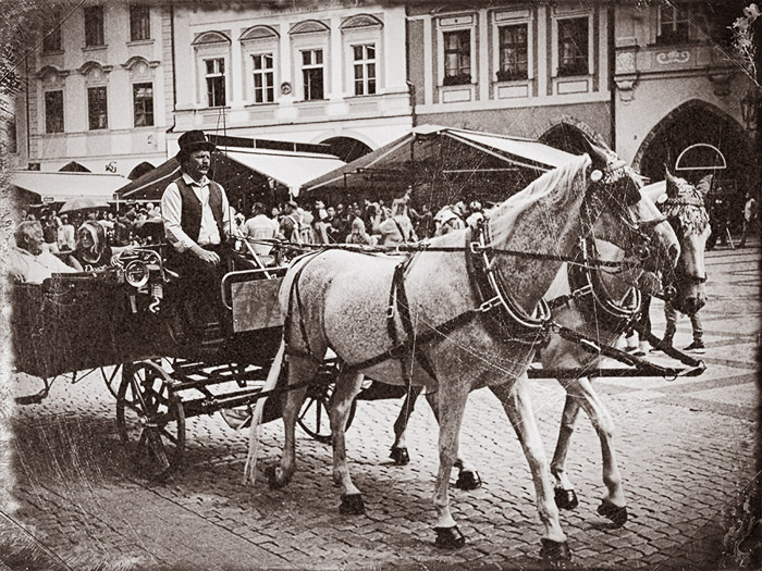 Prague Horse & Carriage 2 5161
