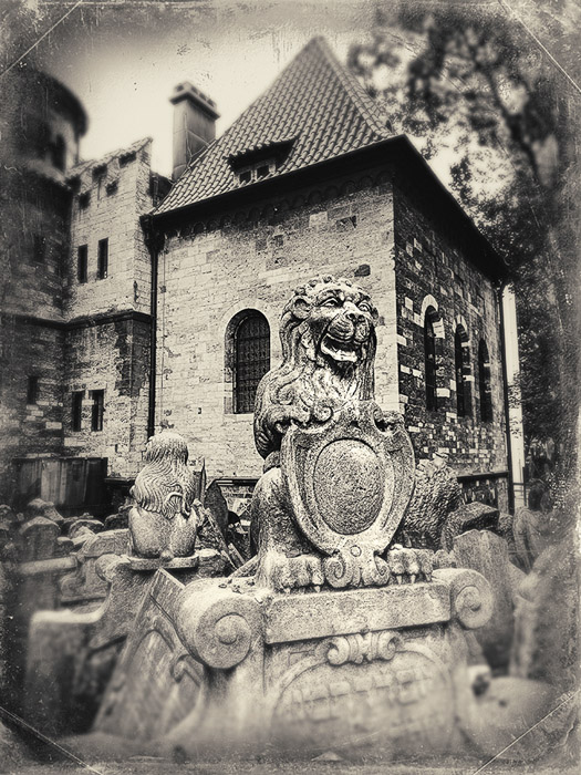 Prague Jewish Cemetery 2 5059