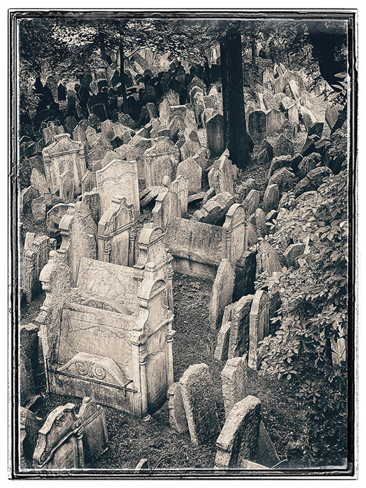 Prague Jewish Cemetery 8753