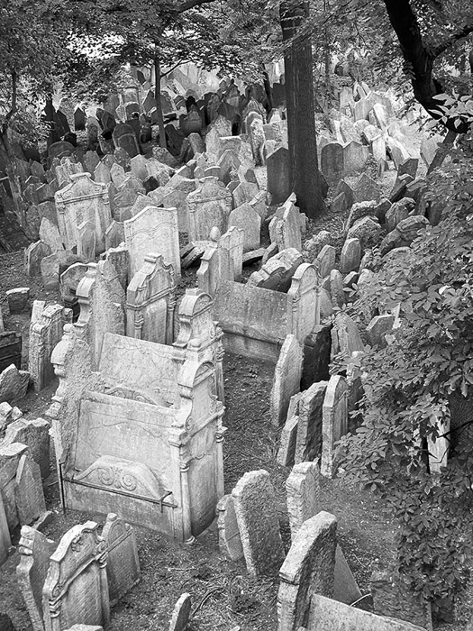 Prague Jewish Cemetery BW 5068