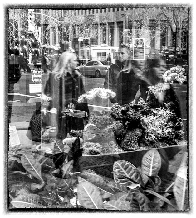 NYC Reflections 0365