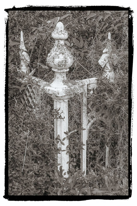Bonaventure Cemetery 6075