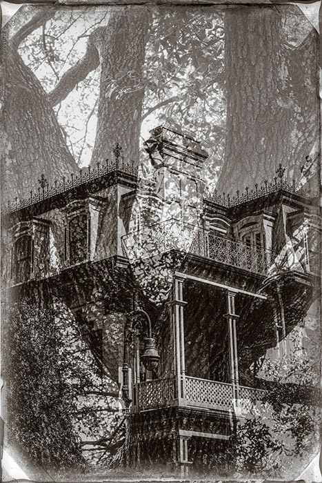 Savannah House & Tree BW 1108