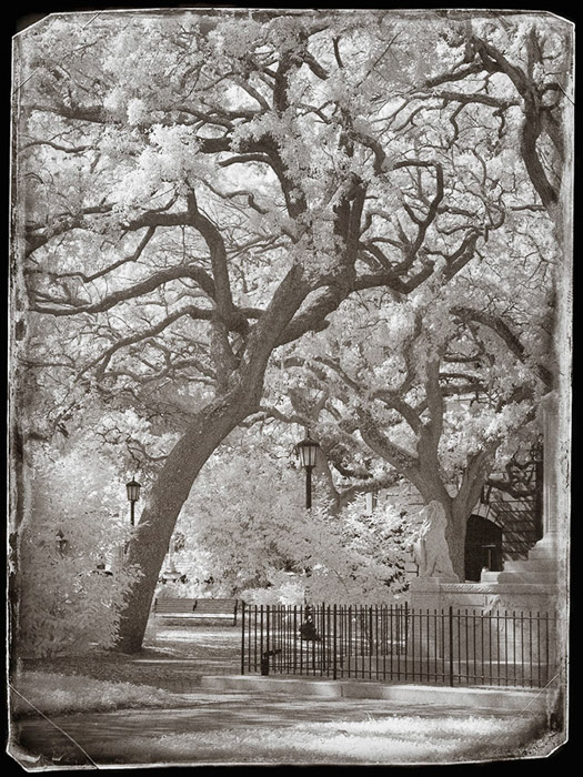 Savannah Square IR 1087