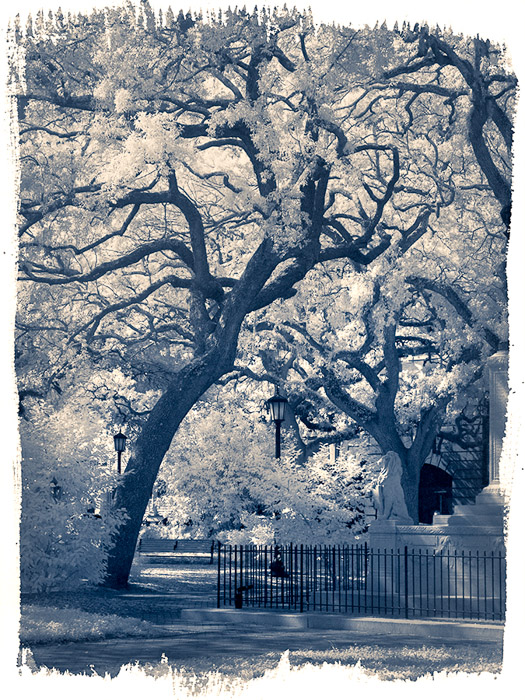 Savannah Square IR 3 1087