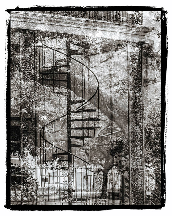 Savannah Staircase & Tree BW 1125