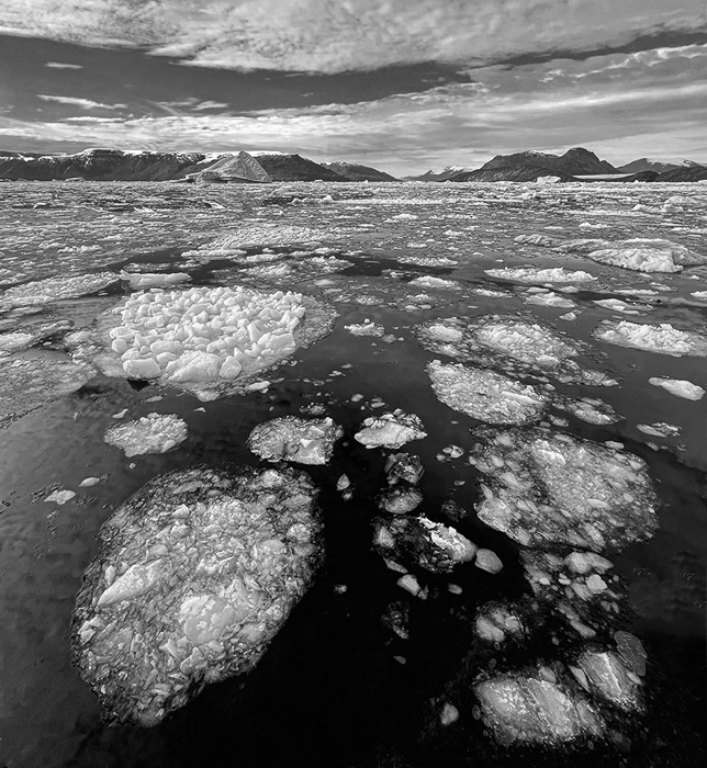 Scoresby Sound 1291