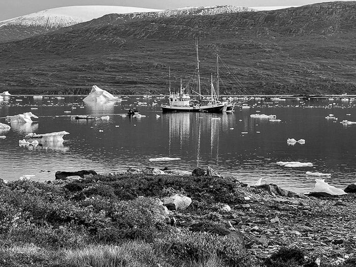 Scoresby Sound 1347