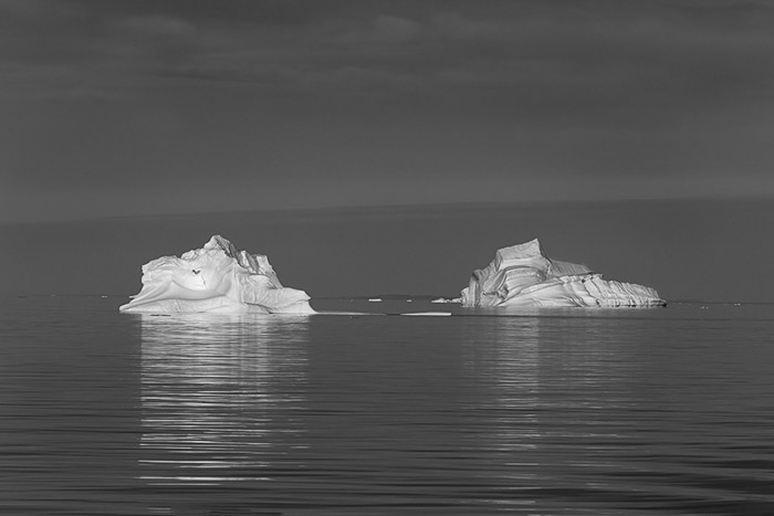 Scoresby Sound 3631