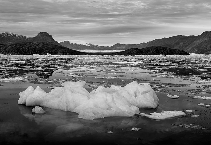 Scoresby Sound 4498
