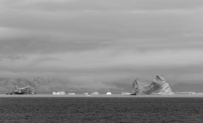 Scoresby Sound 4870