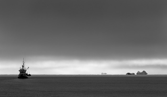 Scoresby Sound 5561