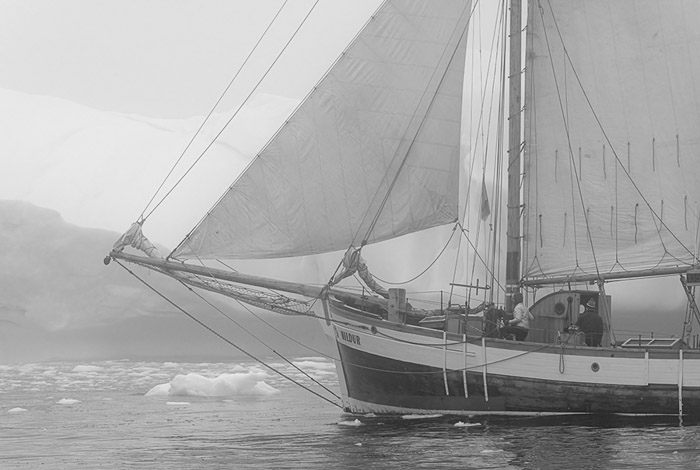Scoresby Sound 5783