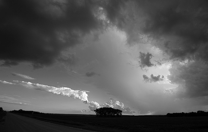 Storm Chasing BW 4024