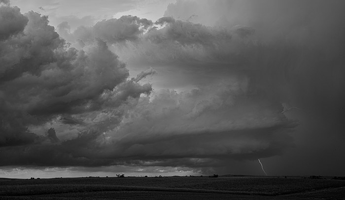 Storm Chasing BW 4499