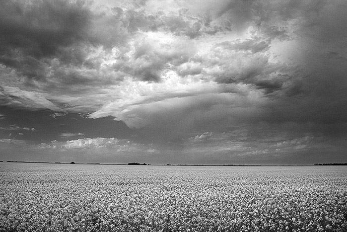 Storm Chasing BW 4726