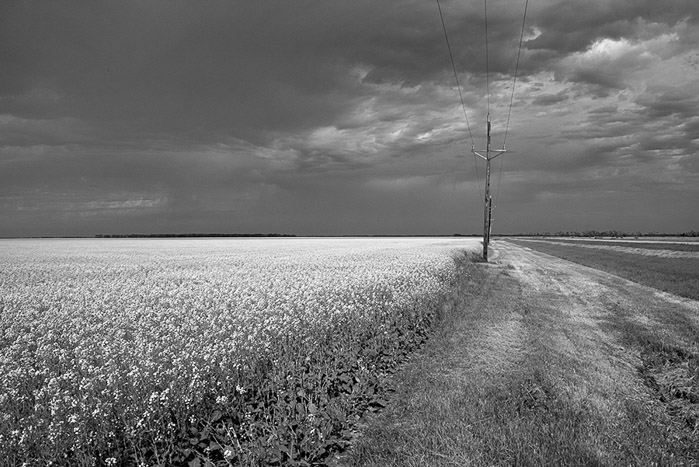 Storm Chasing BW 4736