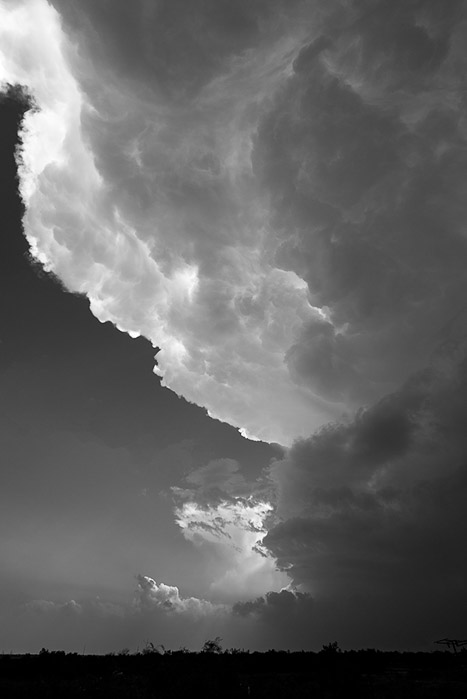 Storm Chasing BW 5168
